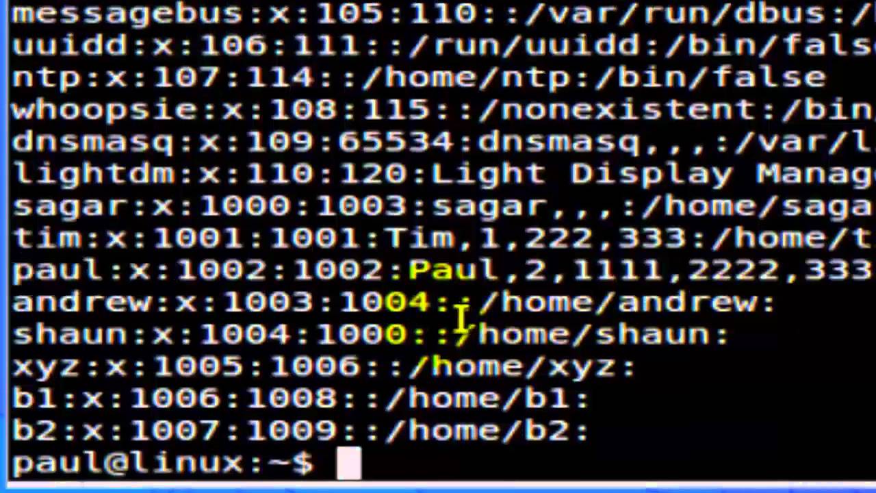 How to read the etc passwd file in Linux Shell terminal