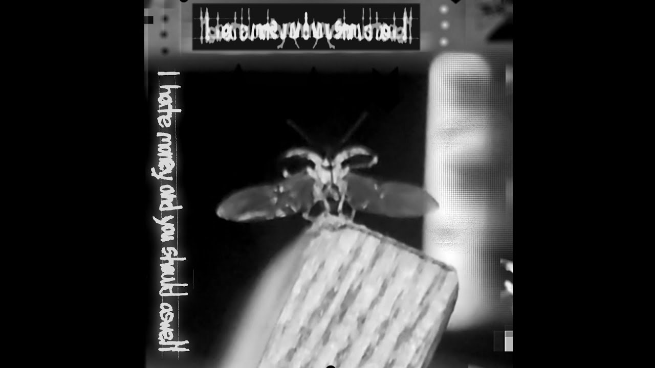 I hate money and you should aswell