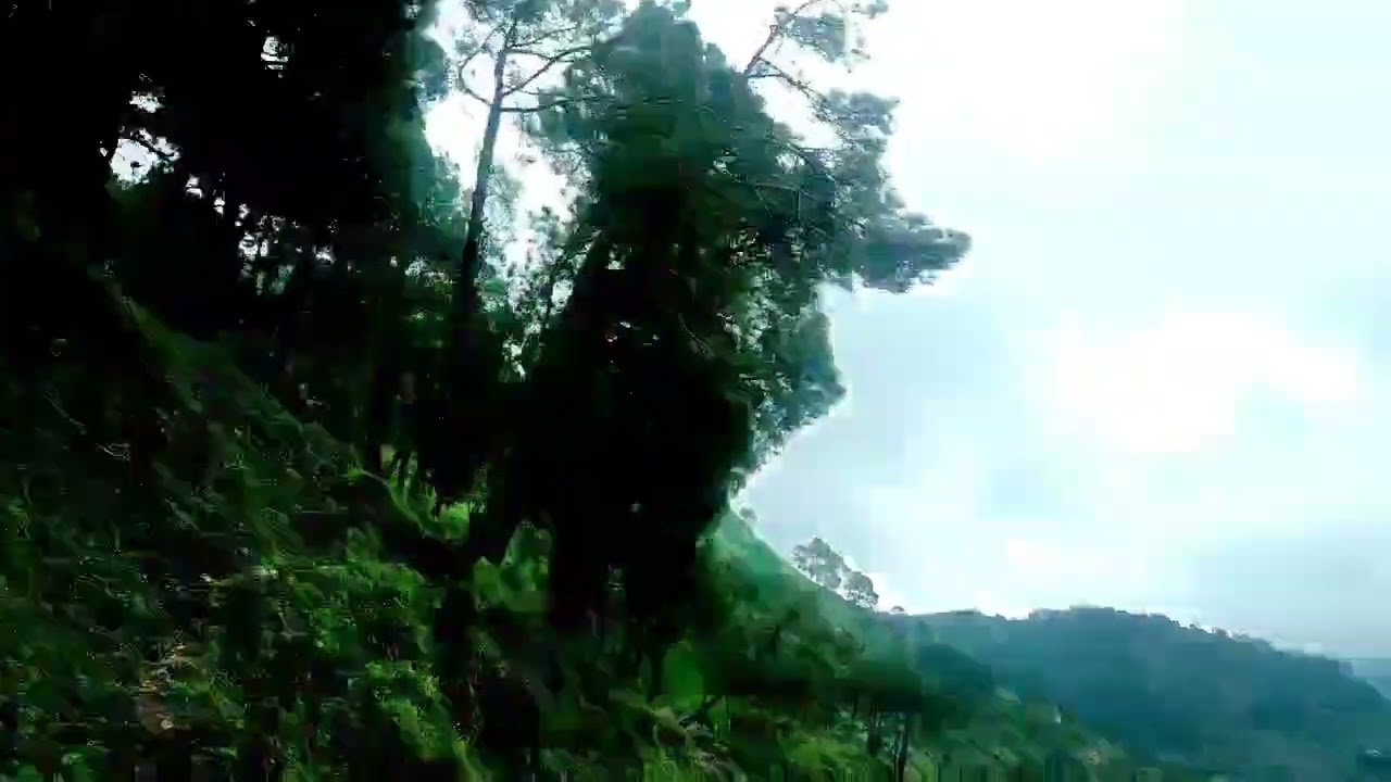 Salli Valley ❤️