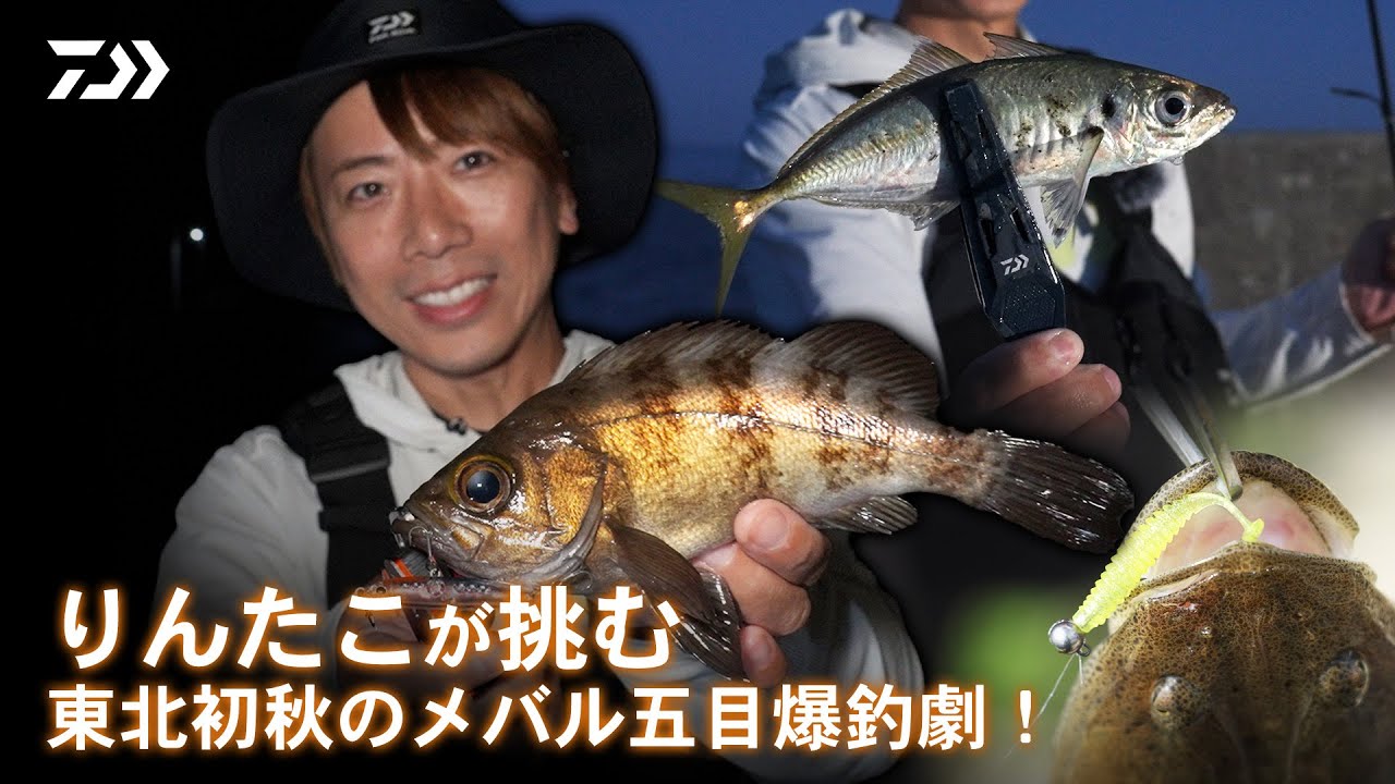 [メバリング] りんたこが挑む東北初秋のメバル五目爆釣劇！岩崎林太郎
