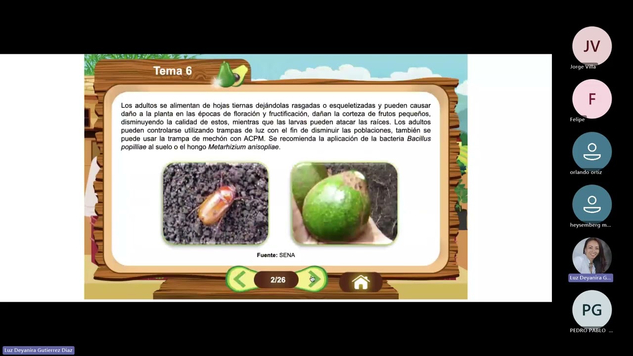 Tercera Sesión en Línea  La siembra y el manejo del cultivo de aguacate 23022026   400 pm 20260223