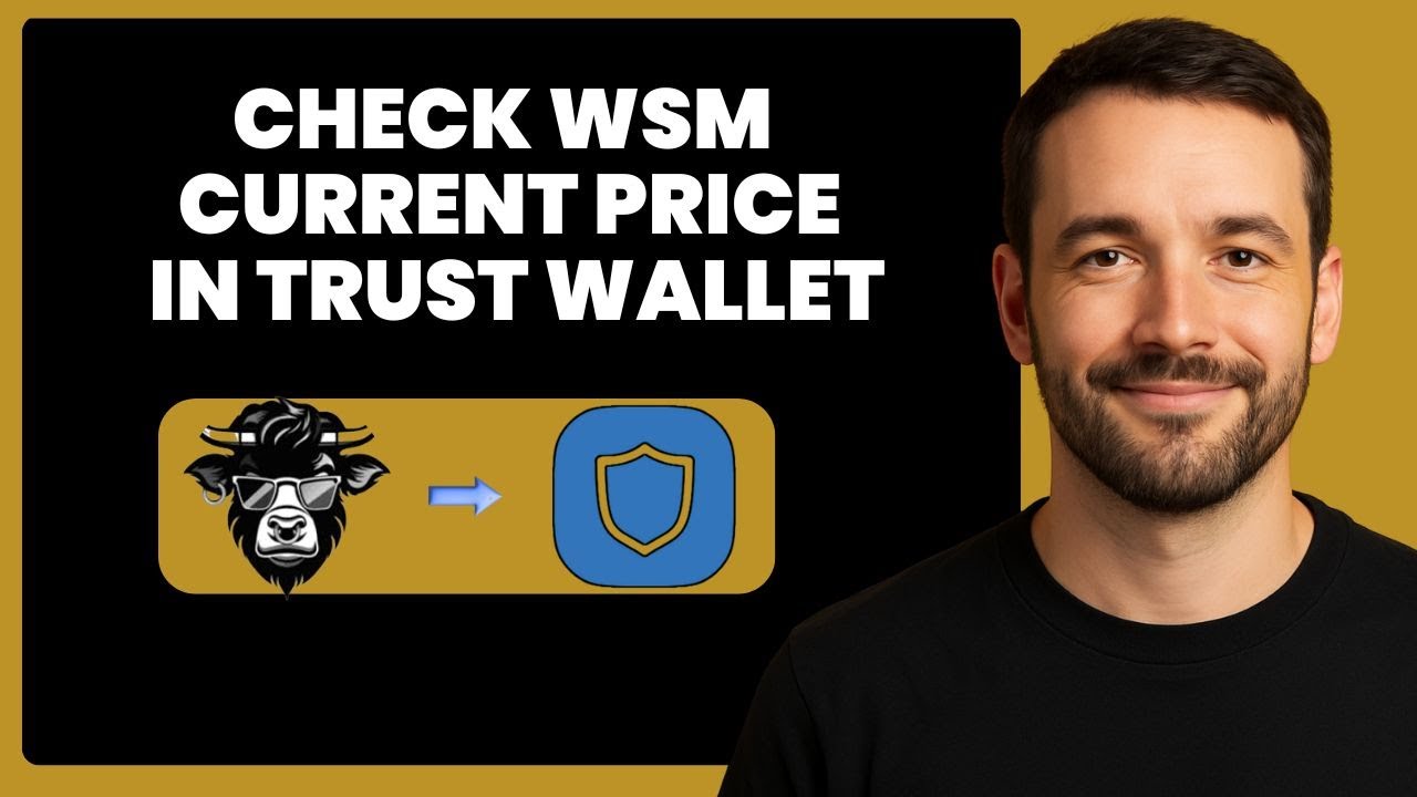 WSM Stock Alert! Discover the Real-Time Price & Latest Moves