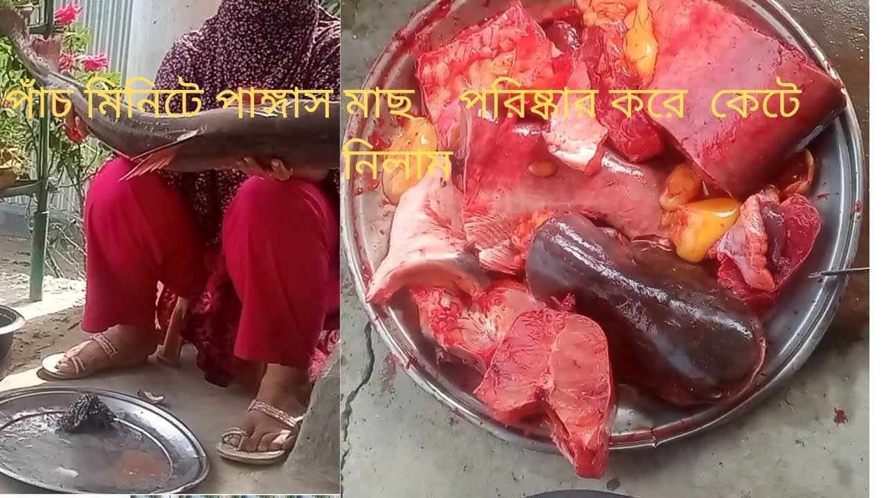 ঝটপট পাঙ্গাস মাছ পরিষ্কার করে কেটে নিলাম।# long video 
