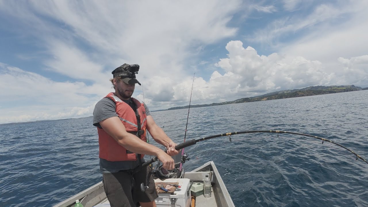 Chasing Snapper and Kingfish + CATCH AND COOK - Hauraki Gulf