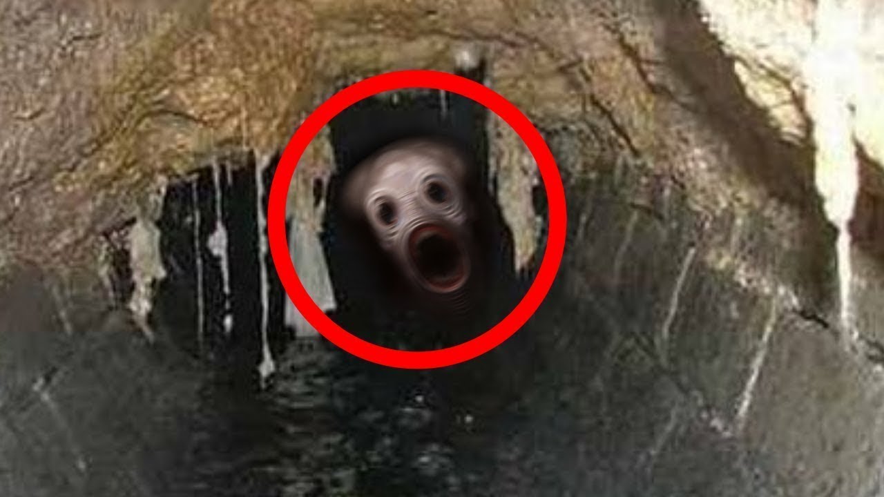 10 CREATURE misteriose riprese nelle FOGNE