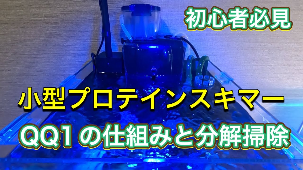 【海水水槽】初心者必見プロテインスキマーQQ1の仕組みと掃除。