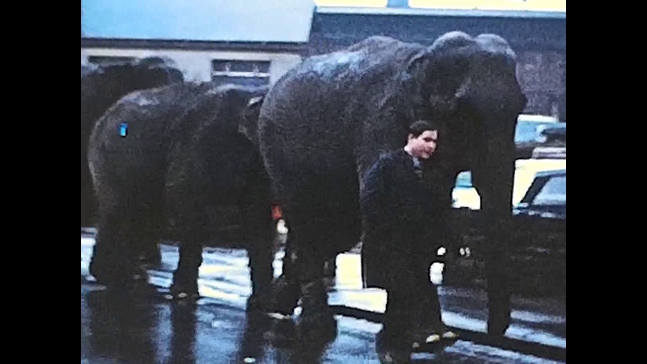0000f 0002a Billy Smarts Circus Hillsborough railway Station