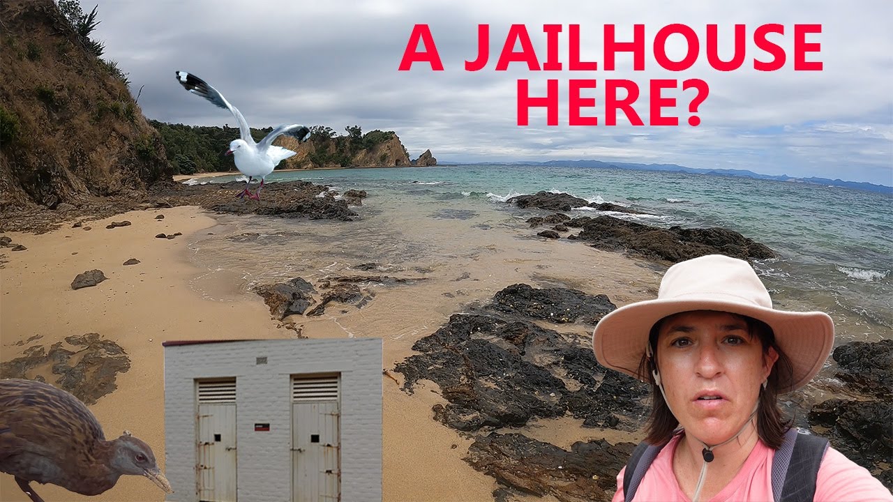 Sailing to an island sanctuary in Hauraki Gulf New Zealand