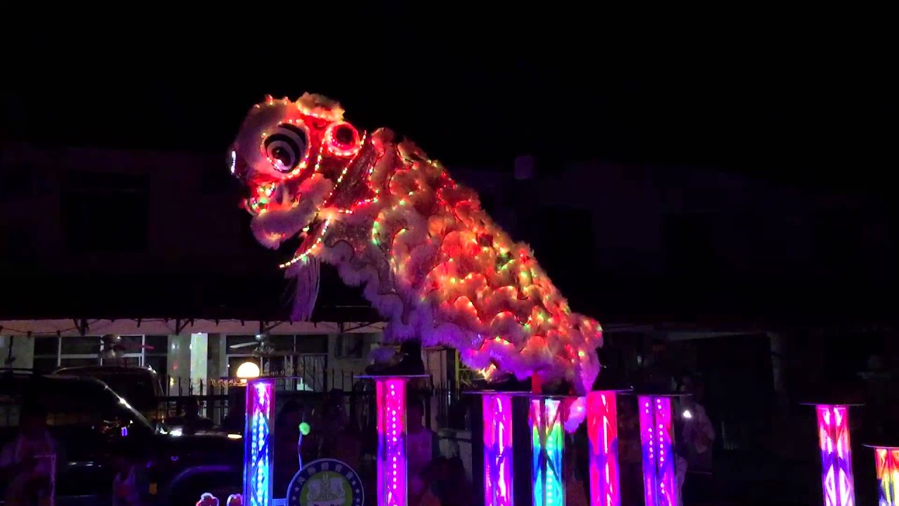 Amazing night lion dance at my house