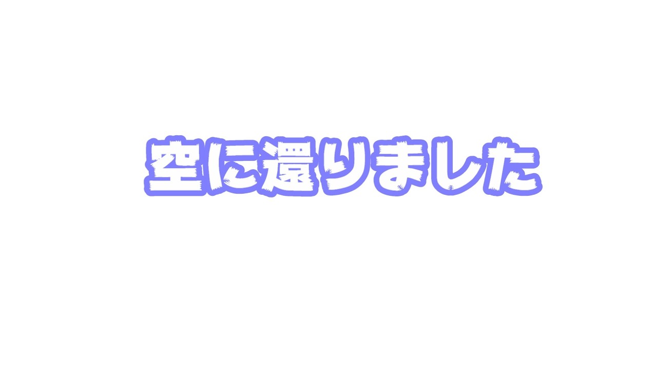 空に還りました  応援有難うございました  2026 03 07 1