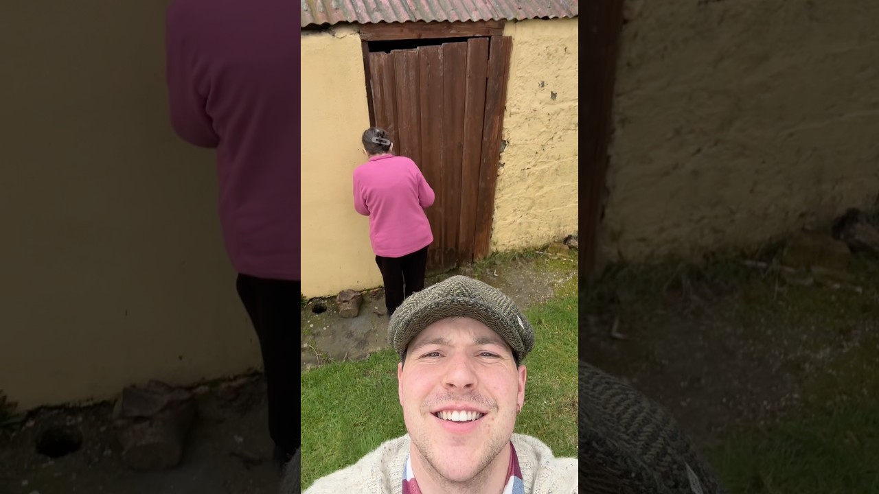 Replacing my grandmothers door 
