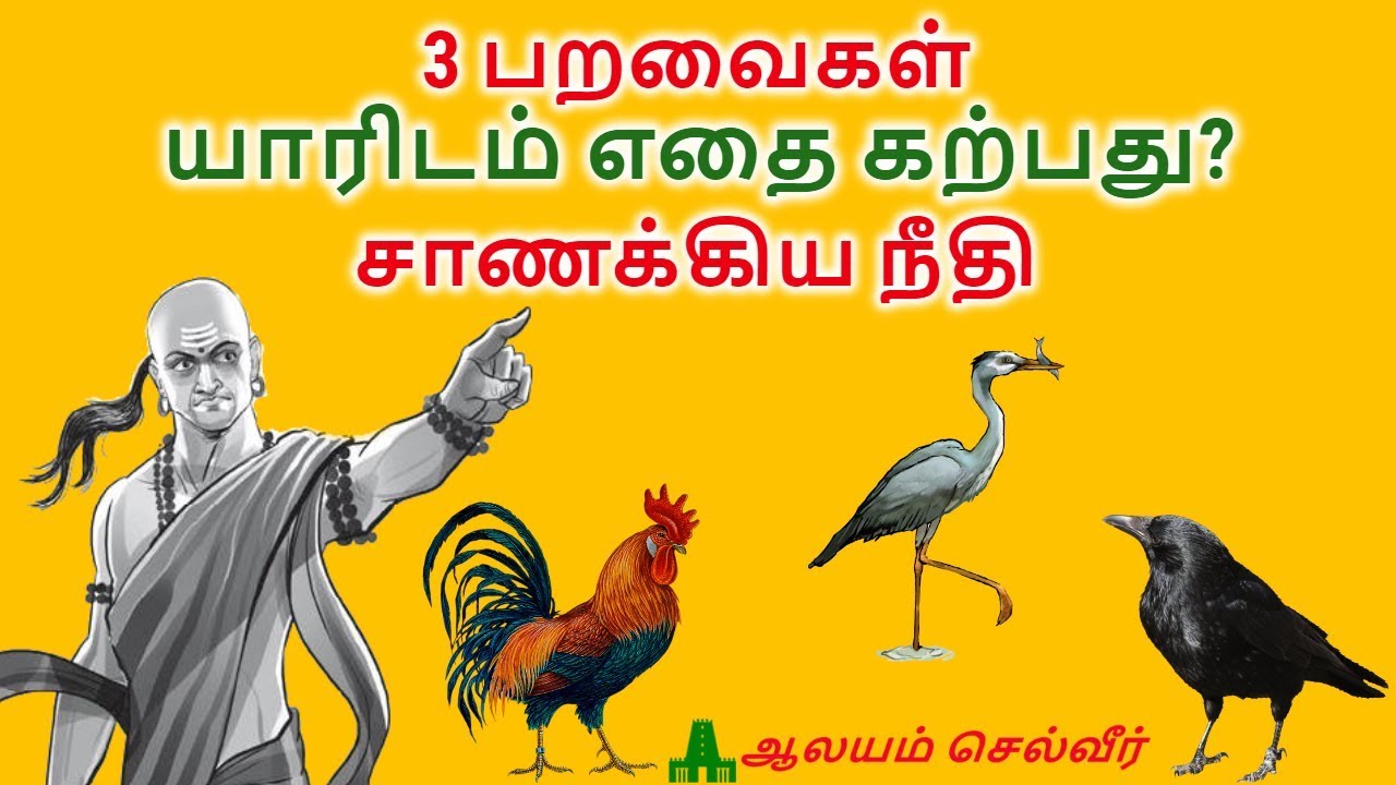 3 பறவைகள் - யாரிடம் எதை கற்பது? - சாணக்கிய நீதி | Chanakya Neeti Learning From Birds