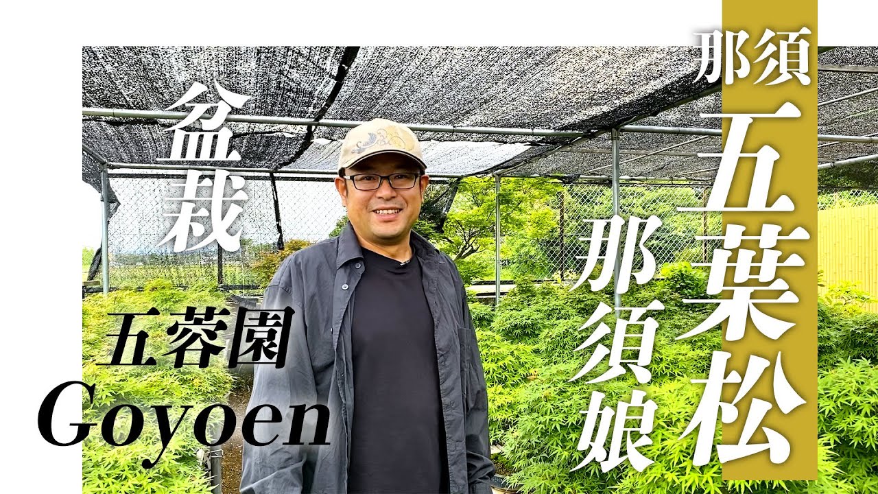 【組合員紹介 vol.04】五蓉園｜Goyoen
