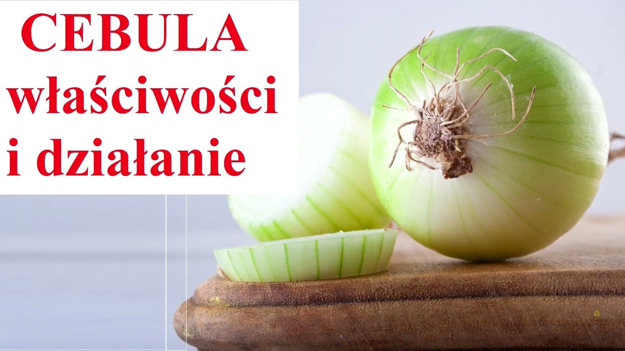 CEBULA - właściwości i działanie