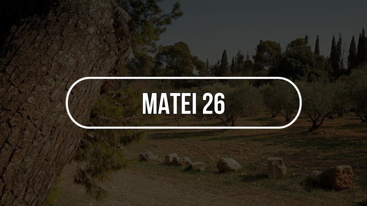 Matei 26