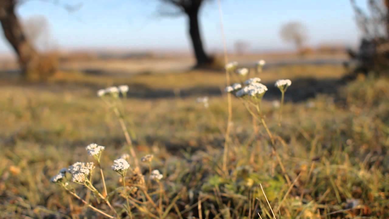 Veto - Slowres