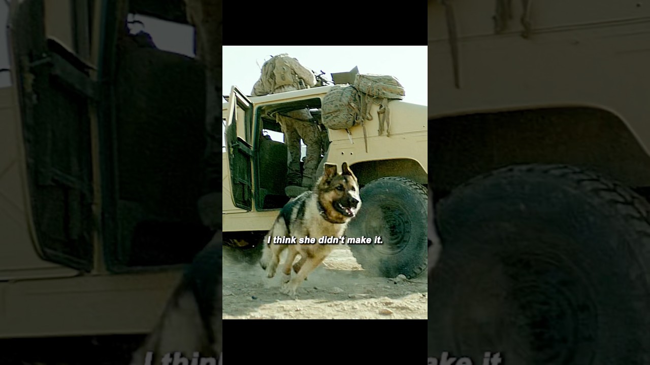 🔥 Soldier Injured in Ambush &mdash; Her Loyal Dog Refuses to Leave Her Side 🐕❤️💥