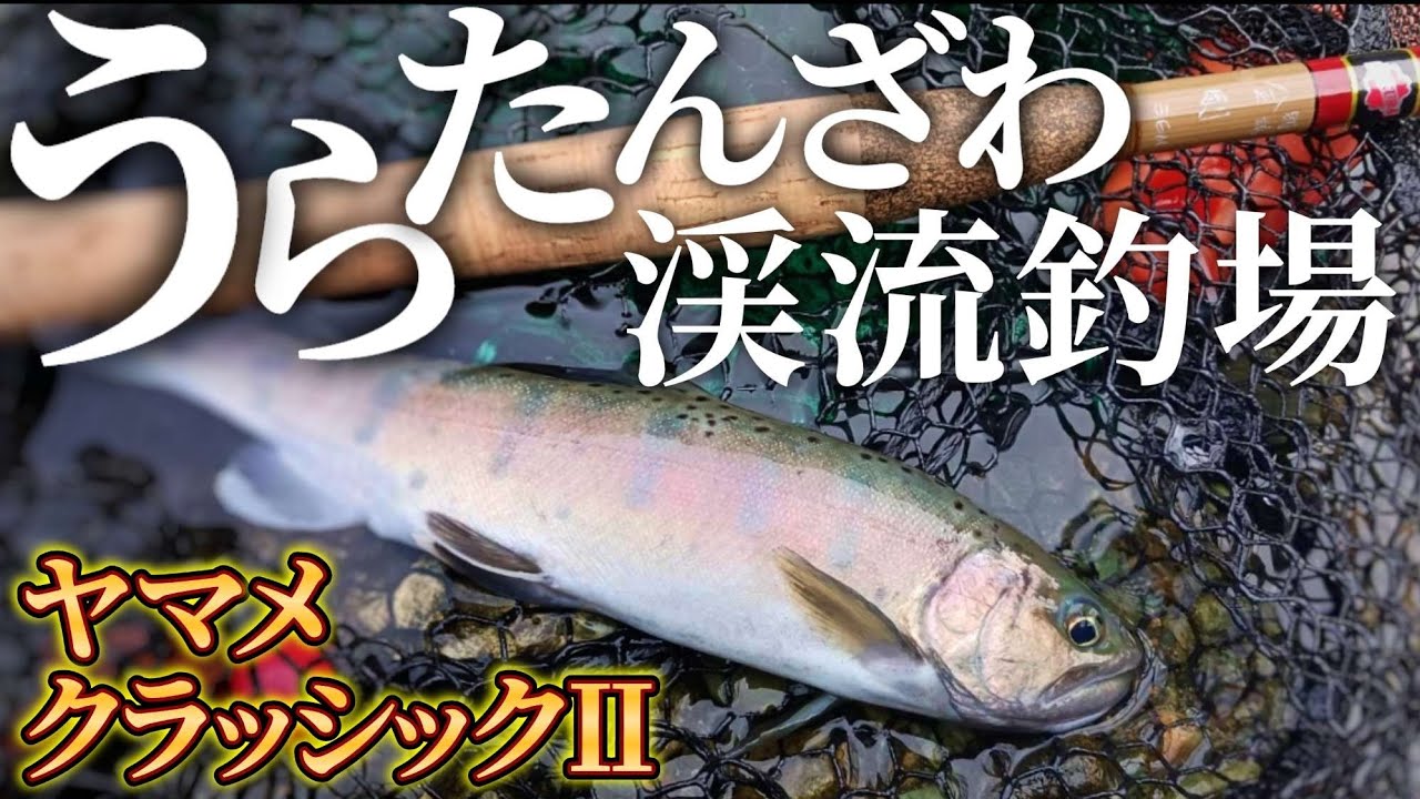 渓流オフシーズン中のオアシス【うらたんざわ渓流釣場】