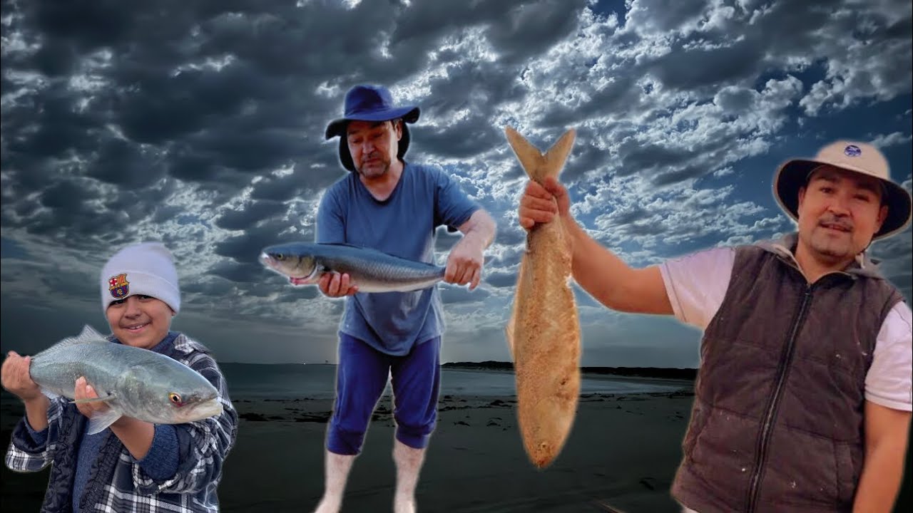 Fishing in Sydney stanwell Park Beach ￼