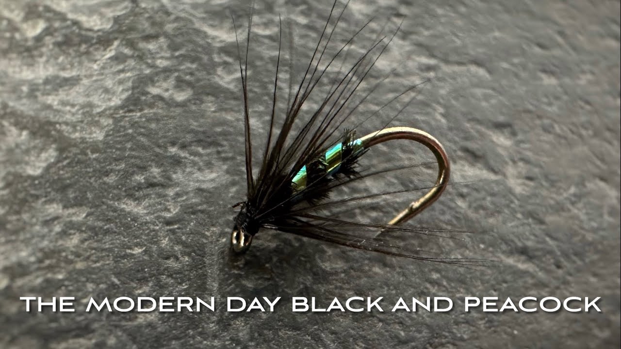 Black and Peacock Spider - Soft Hackle Wet Fly - Fly Tying with John Murphy
