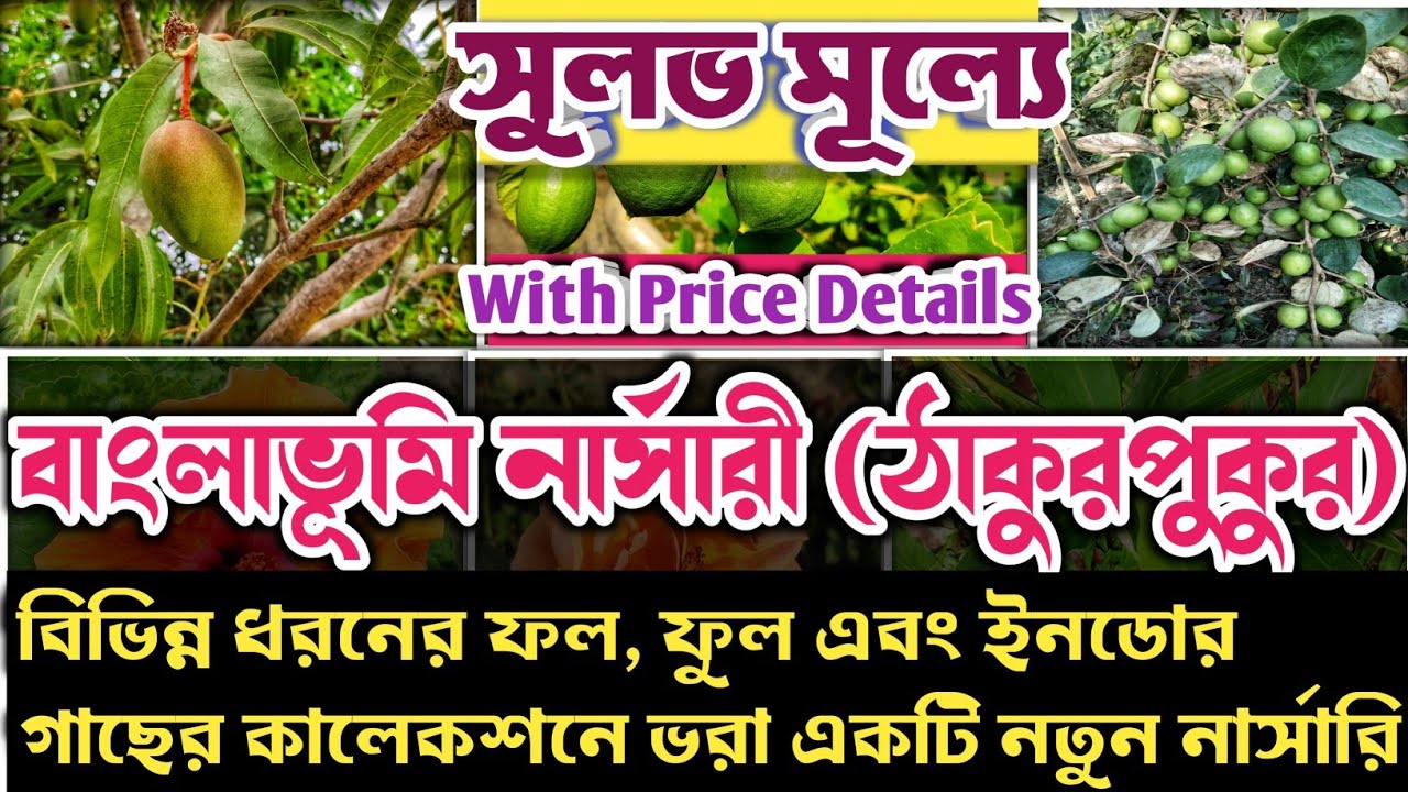 সুলভ মূল্যে ফল, ফুল এবং ইনডোর প্ল্যান্টের এক বিপুল সম্ভার নিয়ে হাজির, Bangla Bhumi Nursery.