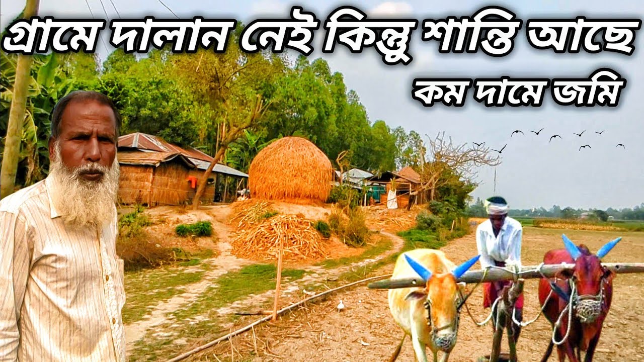 এত সুন্দর গ্রামে সস্তায় জমি কিনে বাড়ি করতে পারেন | সাজানো গোছানো পরিপাটি গ্রাম | Grammo Jibon