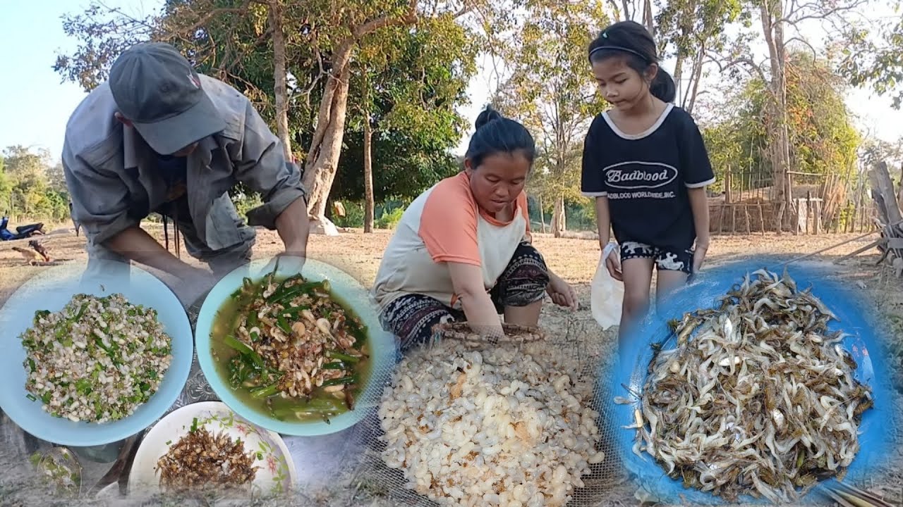 12 กุมภาพันธ์ ค.ศ. 2026