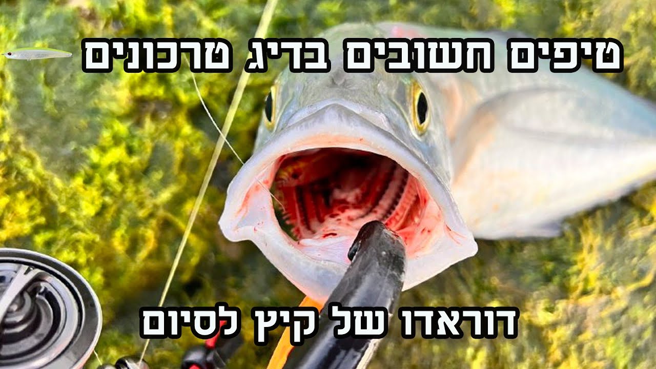טיפים חשובים בדיג טרכונים💪🏼🎣 | דוראדו של קיץ 🐠