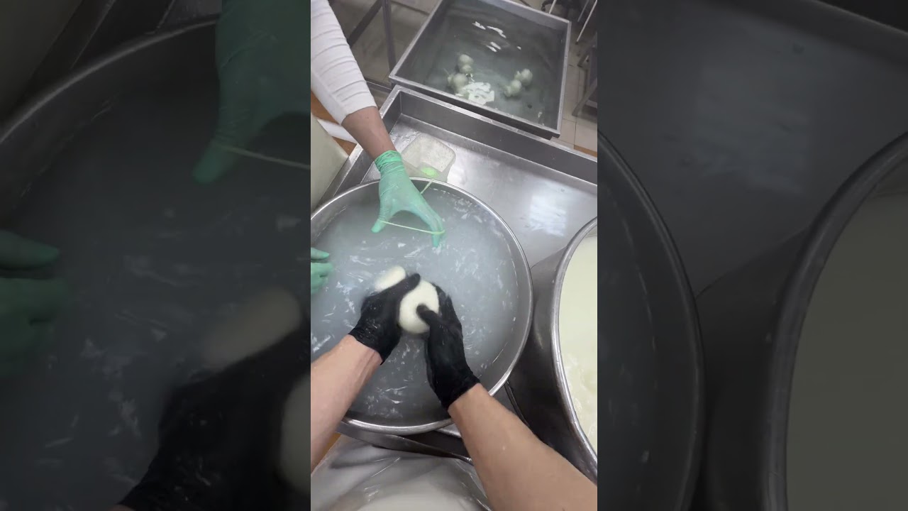 Skamortsa cheese 🧀