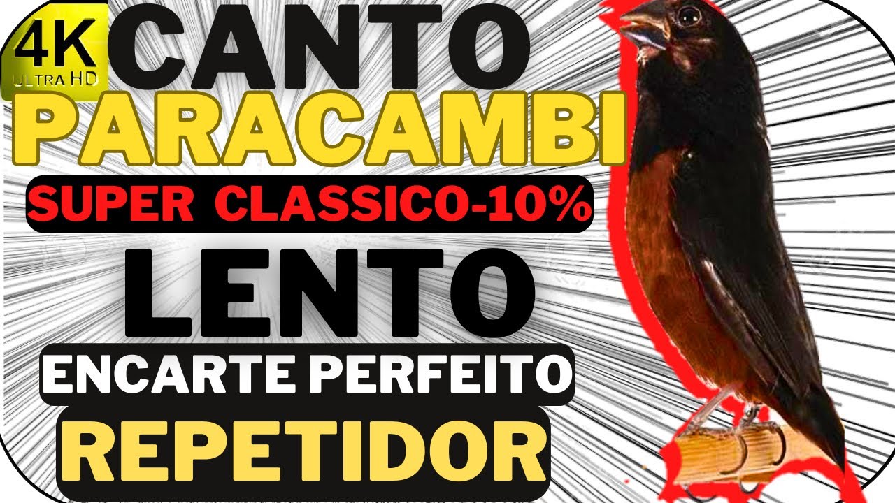 CANTO LENTO | CURIO PARACAMBI CLASSICO ROMPE NUVEM