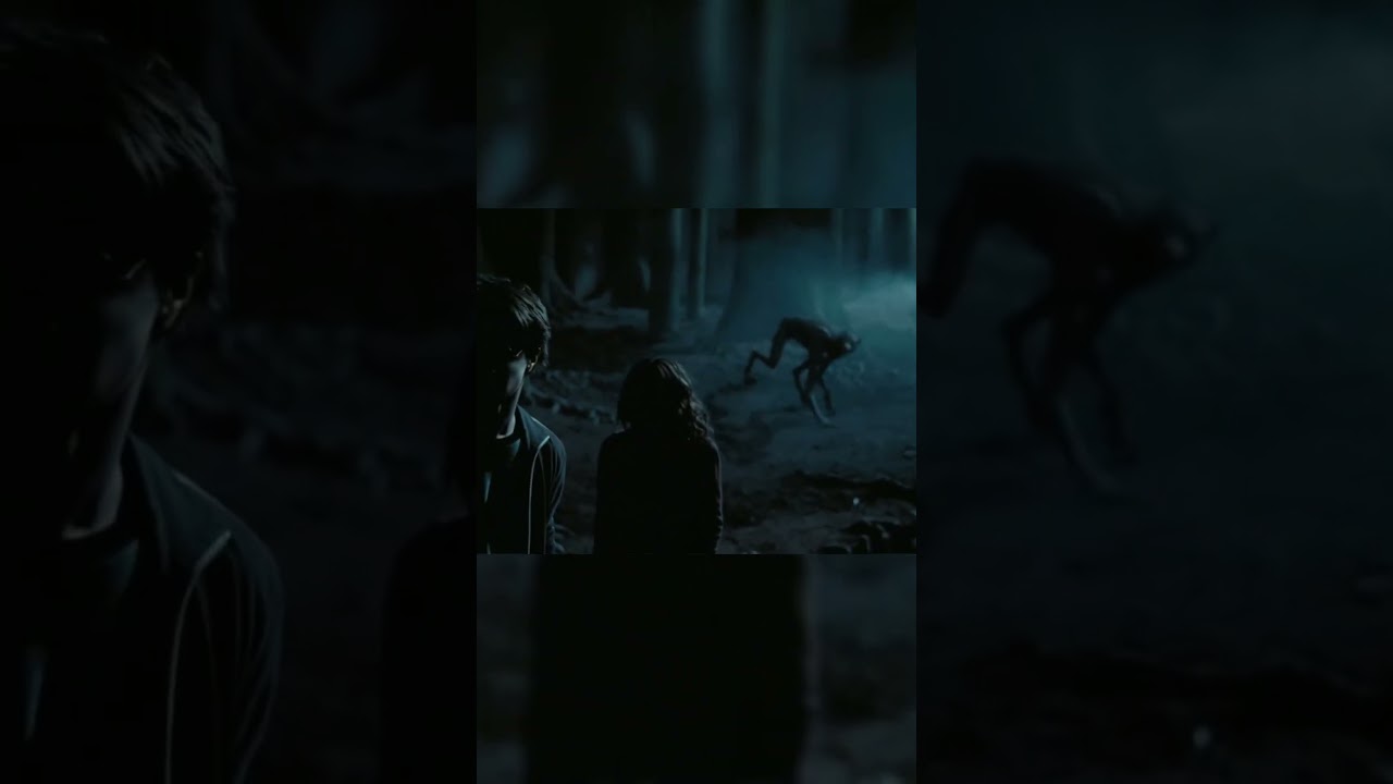 He protected them 🥺- #harrypotter #buckbeak #edit #save #hp #hogwarts #hpedit #goviral #fypシ゚viral