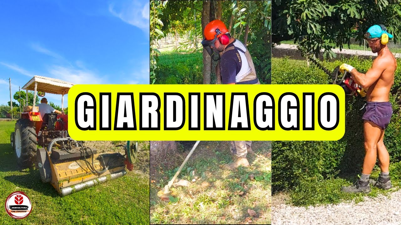 DIVENTIAMO GIARDINIERI PER UN GIORNO