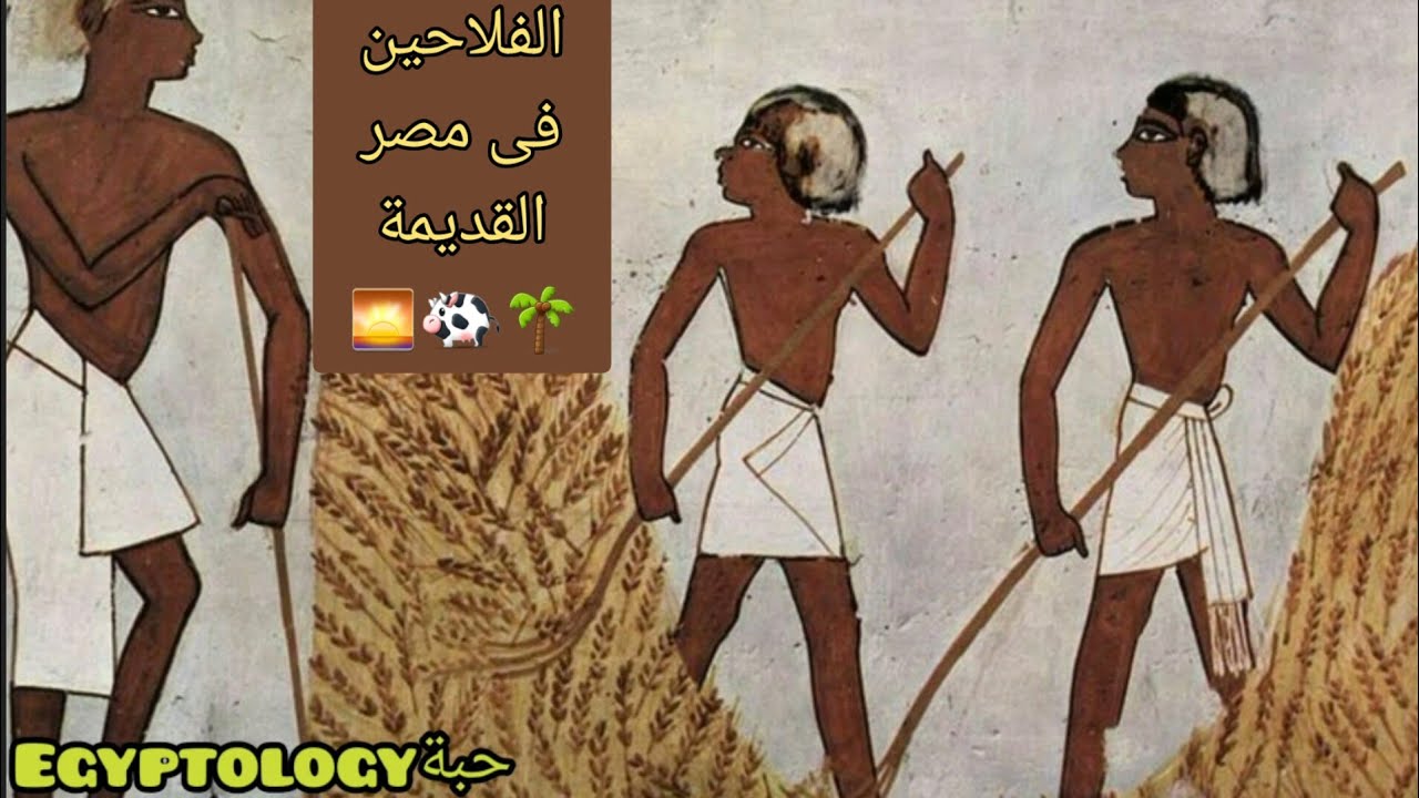 الفلاح في مصر القديمة🌴🐄🌅