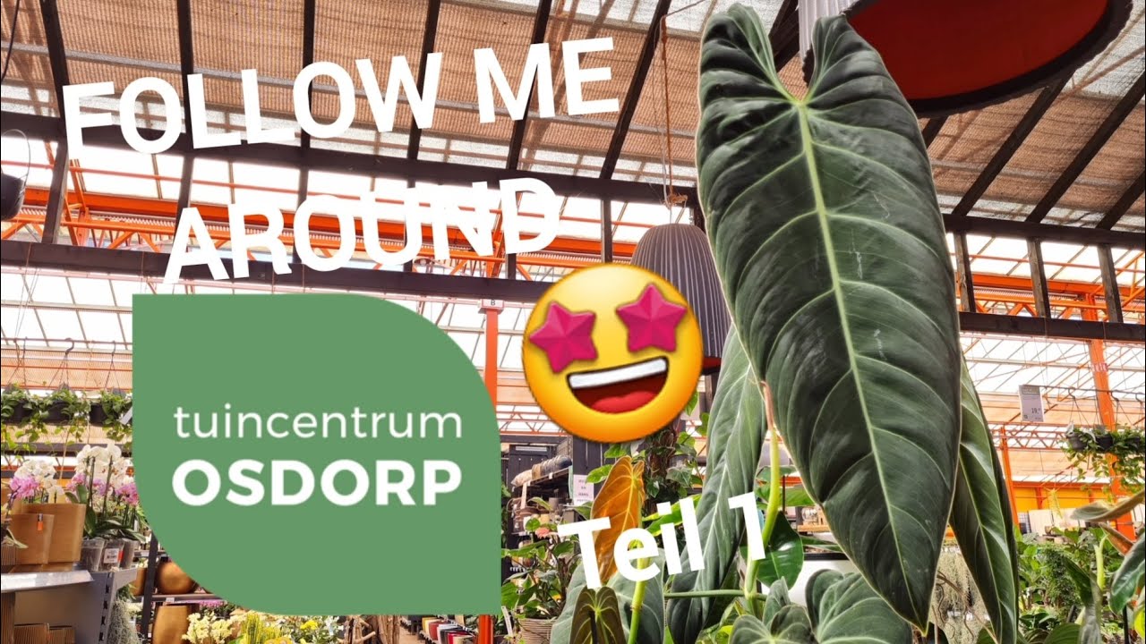 Follow Me Around 📽️ | Niederlande 🇳🇱 | Tuincentrum Osdorp in Amsterdam 🌱 | Teil 1
