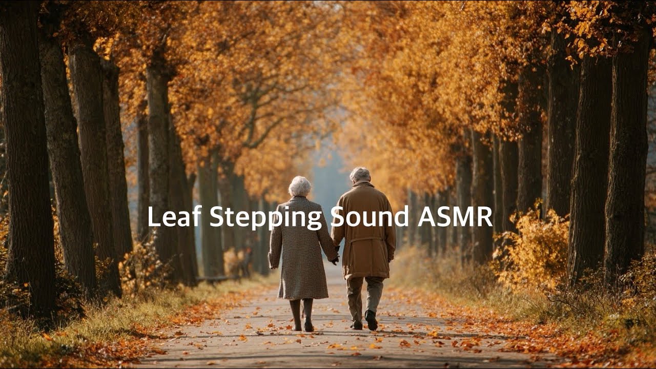 [HD ASMR] 노부부 산책하며 낙엽밟는 소리 ASMR