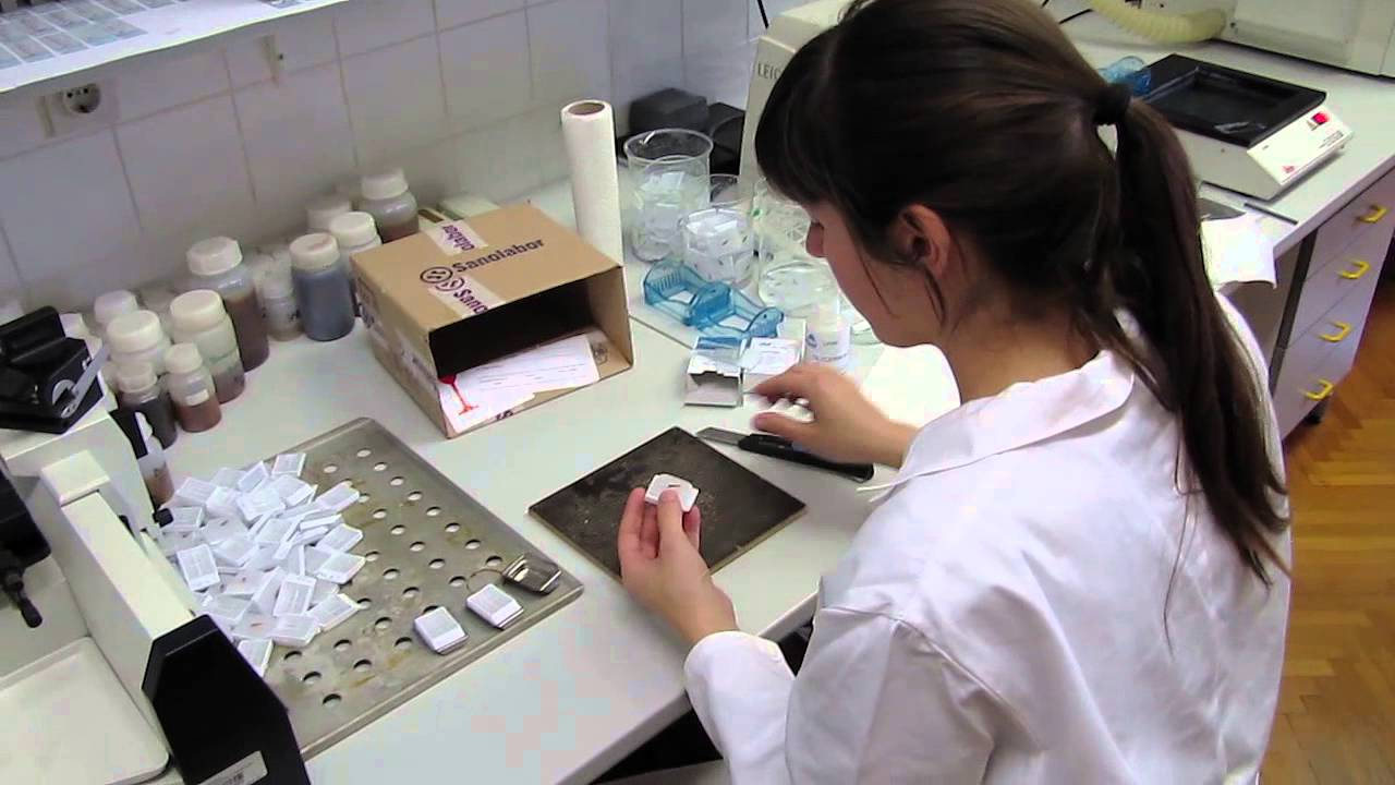 Wood Sample Preparation for Microscopic Analysis