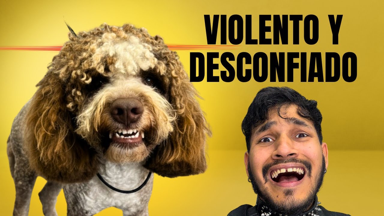 PERRO DESCONFIADO SE PONE VIOLENTO!! 🤯ME PUSO EN APRIETOS⚠️