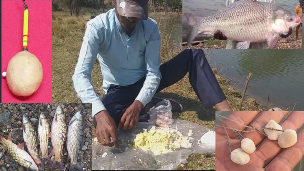 #FishingClub #FishHunting  Rohu Mirgal Catla Hook Bait And Cherai
