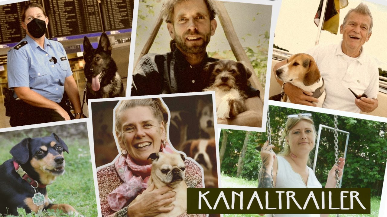 Kanaltrailer: Geschichten &uuml;ber Menschen und ihre Hunde 🐕🐶🐩
