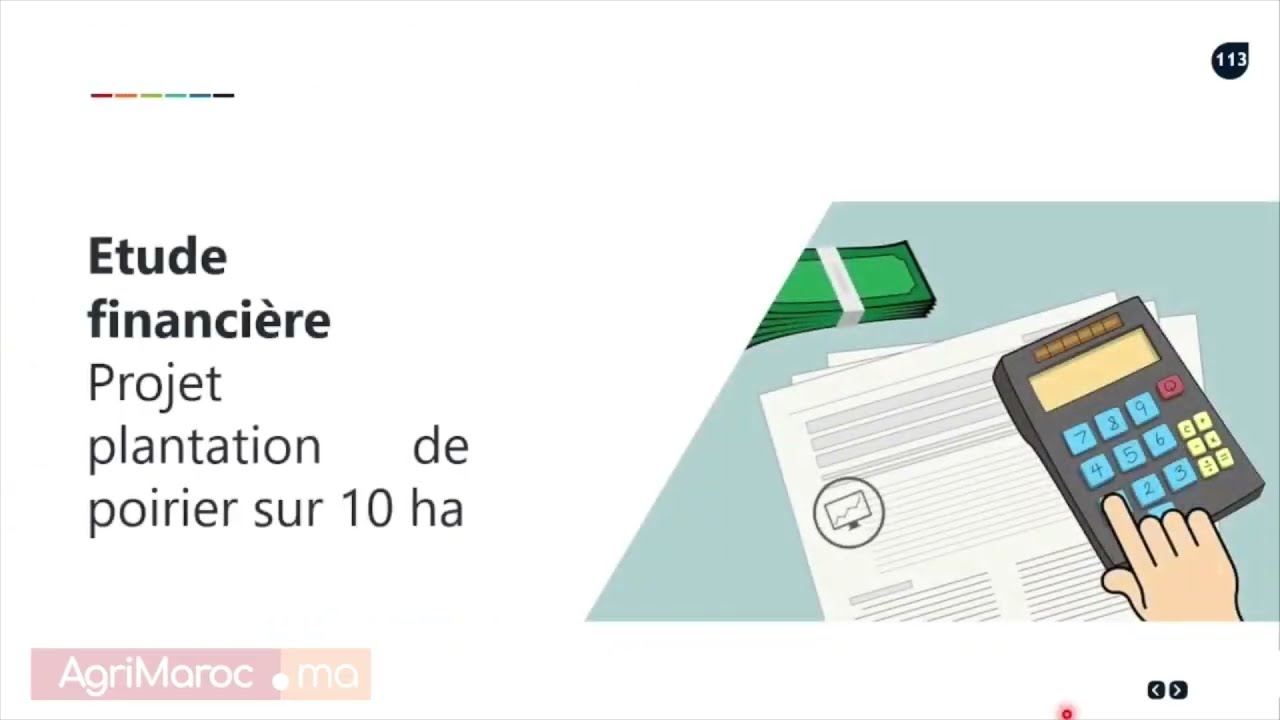 Comment investir dans l'agriculture ? Projet arboricole au Maroc - Partie 4
