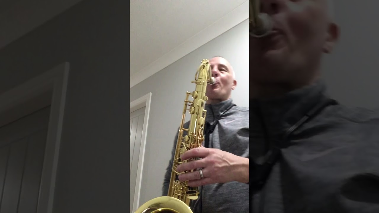 The Wanderer ( Tenor Sax solo)