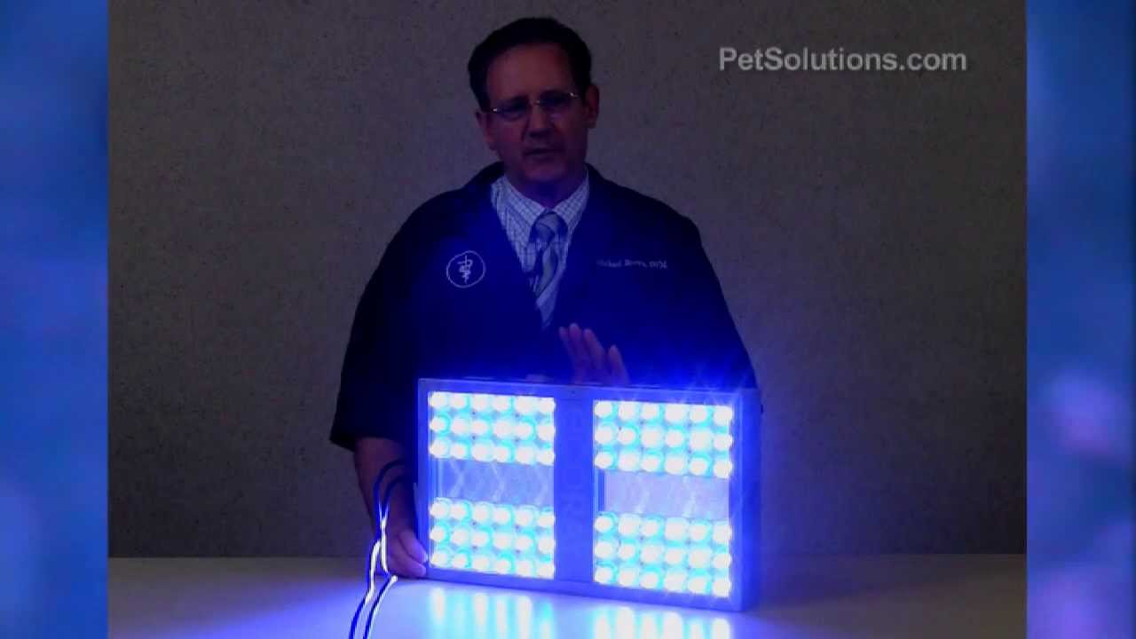 PetSolutions: Ecoray High PAR LED Lighting Systems