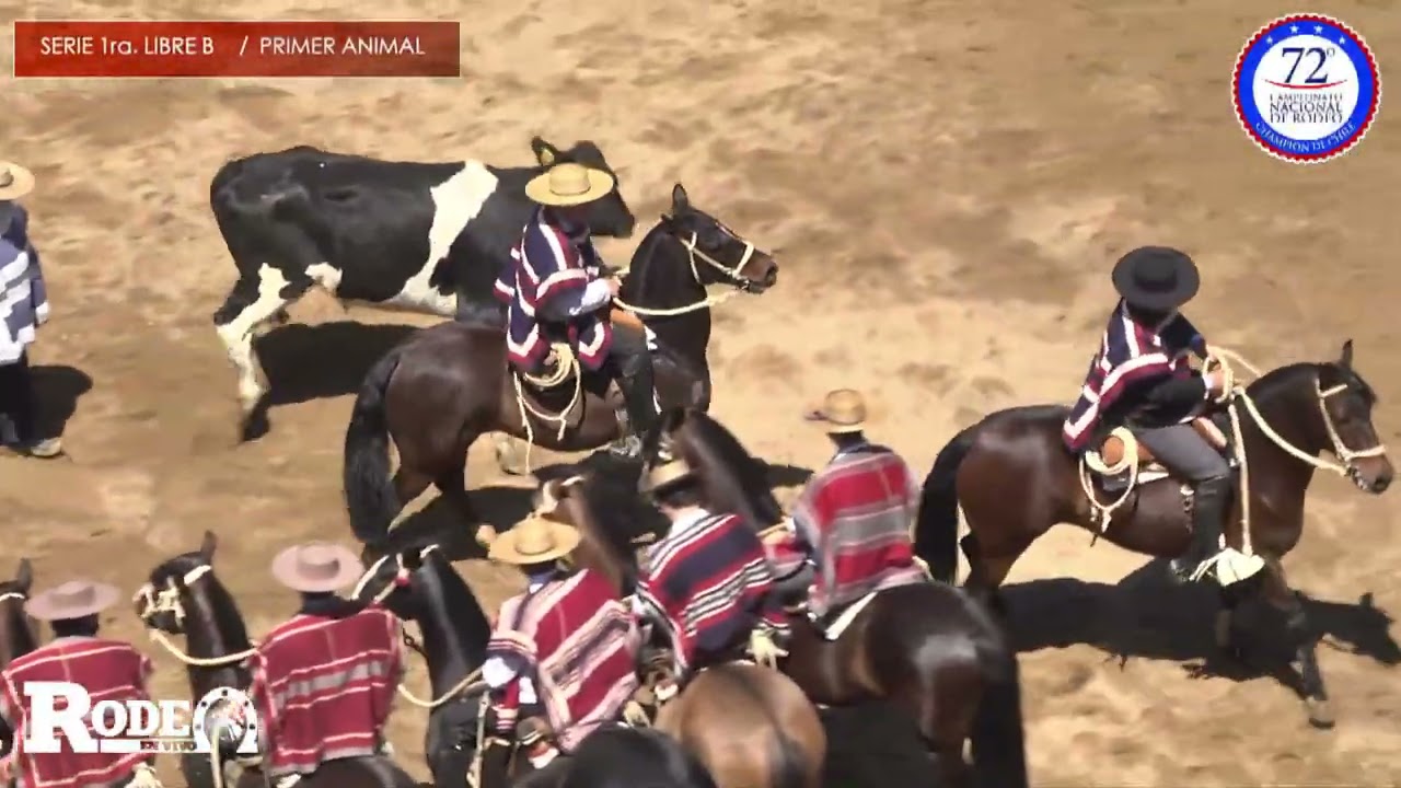 Serie Libre 1era A / 72° Campeonato Nacional de Rodeo