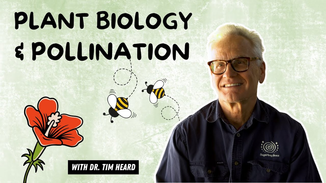 Tim Heard Pollination presentation