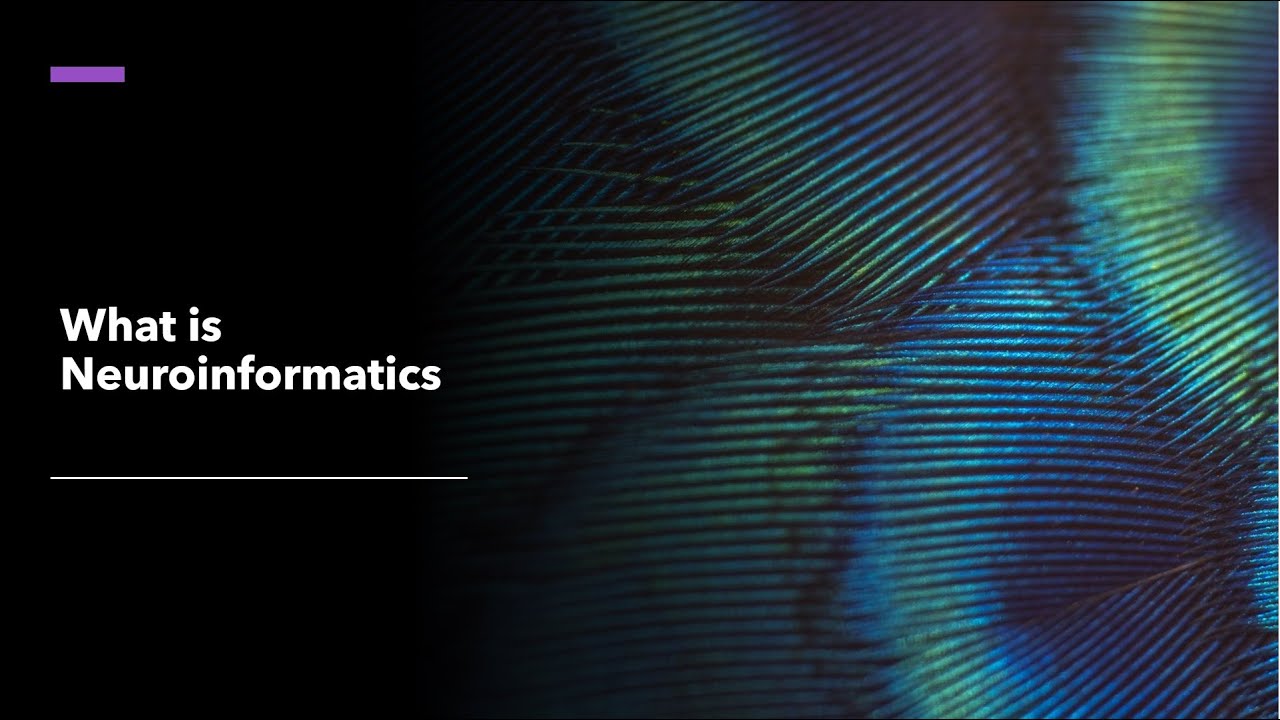 What is Neuroinformatics ?