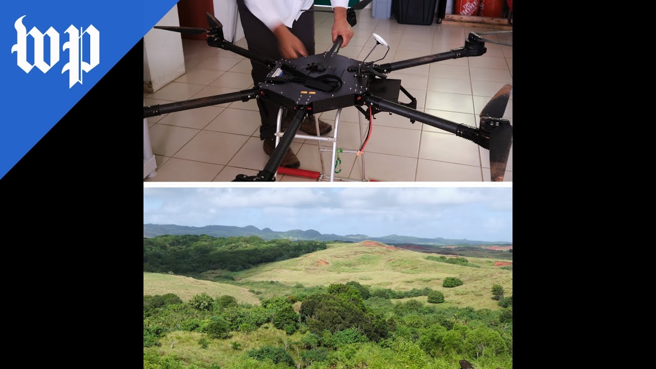 Seed-dropping drones save Guam's forests