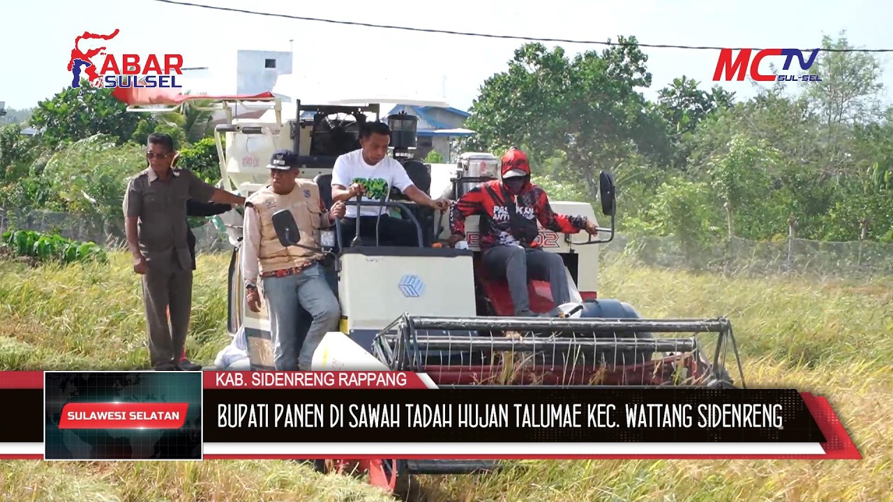 BUPATI PANEN DI SAWAH TADAH HUJAN TALUMAE KEC  WATTANG SIDENRENG