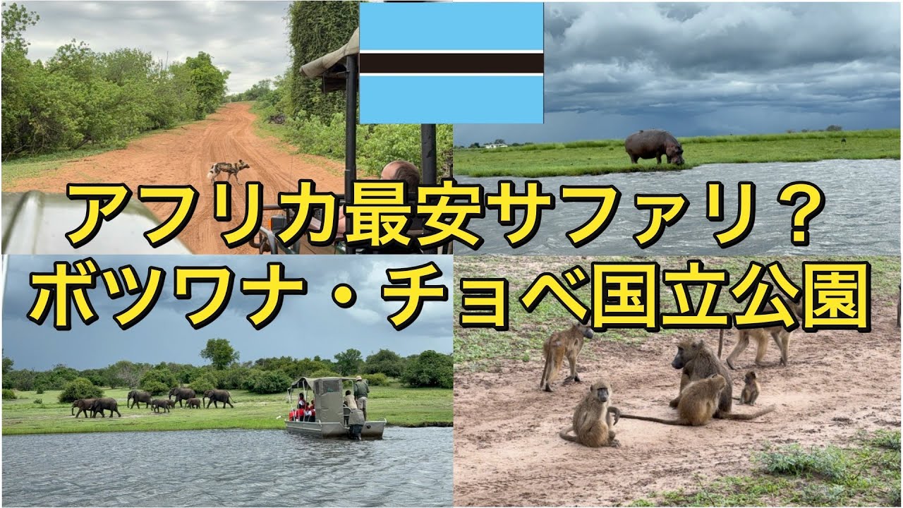 【ボツワナ旅行】【アフリカ縦断】　アフリカで最安と言われている、ボツワナ・チョベ国立公園のサファリに行ってみた！　〜アフリカ縦断したいニート　#ボツワナ　#アフリカ旅行 