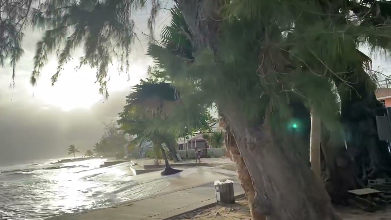 Richard Haynes Boardwalk Barbados 🇧🇧