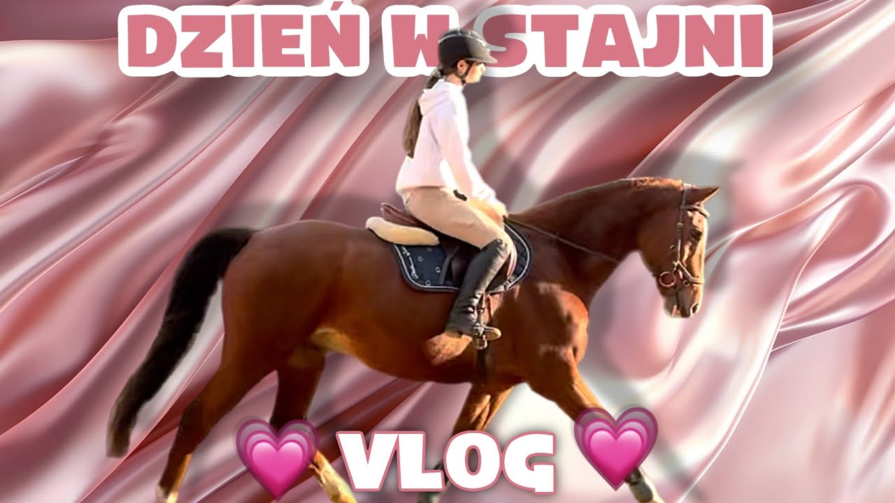 VLOG | DZIEŃ W STAJNI